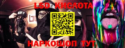 стафф Гусев