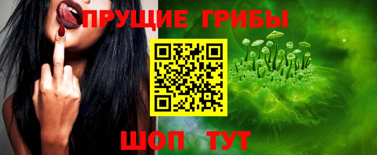 Галлюциногенные грибы Psilocybe  Вход с VPN  Мыски  Галлюциногенные грибы мухоморы 