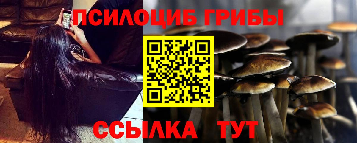 Галлюциногенные грибы прущие грибы Мыски